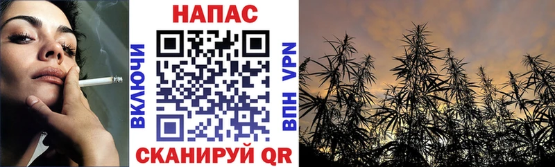 купить  сайты  Белинский  Бошки марихуана Amnesia 